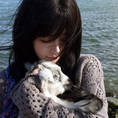 柿子坞的女人们